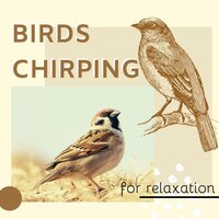 Anger Management - Dzen Guru & Mind Relaxing