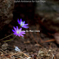 Vivacious Shakuhachi and Harps - Vibe for Steam Baths - Relaxing Spa Music Luxury