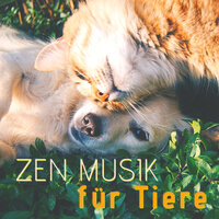 Heiter Hund - Pet Music World