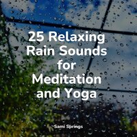 Rain, Glass, Window Pane - Rain Recorders & Oasis de Détente et Relaxation & Ambient Nature Project