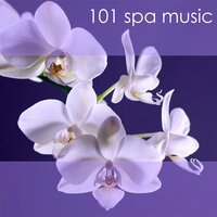 Serenity Spa Music - Spa Music Collective