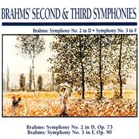 Symphony No. 2 in D Major, Op. 73: III. Allegretto grazioso (quasi andantino) - Slovak Philharmonic Orchestra & Иоганнес Брамс