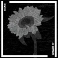 Sunflower Boy - Monoxide