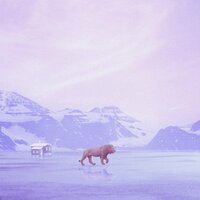 icecap - Notation
