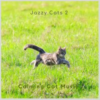 Jazzy Cat Music -7 - Calming Cat Music