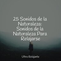 Converlajaciones - Sonidos de la Naturaleza para Dormir & Lluvia & Música para Relajarse Profundamente