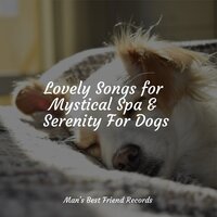 Tranquility - Jazz Music Therapy for Dogs & Music for Pets Library & Dog Music