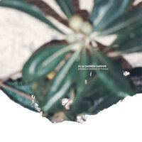 Arising & Ceasing of Things - xu & Darren Harper