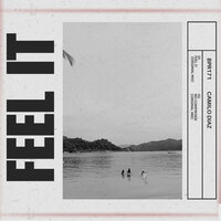 Feel It - Camilo Diaz
