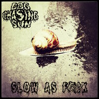 They - Dog Chasing Sun