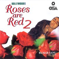 Dil Jaane Jigar - Mahalaxmi & Babul Saprio