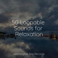 Calm Sea Breeze - Binaural Beats Brain Waves Isochronic Tones Brain Wave Entertainment & Rain Sounds Collection & Rainforest Sounds