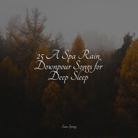 Splashing Drops - Study Zone & Zona Música Relaxante & Native American Flute