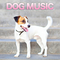 Instrumental Music For Pets While You're Away - Dog Music & Music for Dogs & Sleeping Music For Dogs