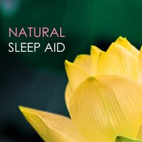Baby Sleep Solutions - Sleep Aid Solutions