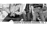 Artistry in Western Swing - Tex Williams