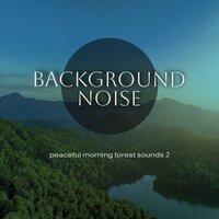 Peaceful Morning Forest Sounds, Pt. 17 - Thomas O'Reilly