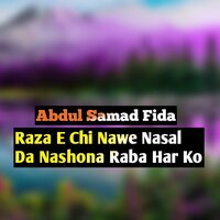 Raza E Chi Nawe Nasal Da Nashona Raba Har Ko - Abdul Samad Fida