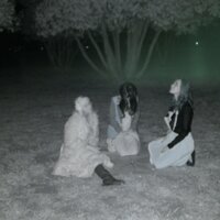 SHOP OF HORRORS - Eleven