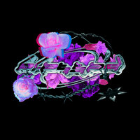 Blessed - Saske & Bigla