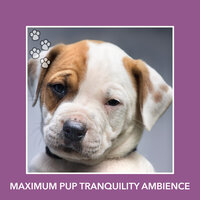 The Purest Tenderness - Dog Chill Out Music