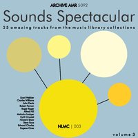 Swinging Fiddle - The Telecast Ensemble