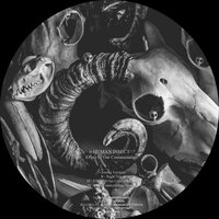 Effect Of Our Contamination - Human Insect