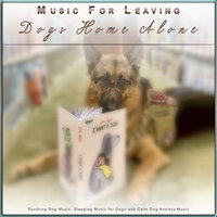 Music For Dogs - Music for Leaving Dogs Home Alone & Music for Dog's Ears & Dog Music Collective