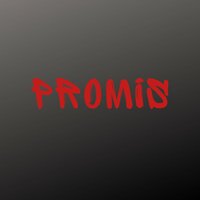 Promis - World Wide Rap