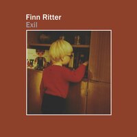 Schönheit dieser Welt - Finn Ritter