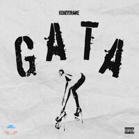 Gata - Konddrake