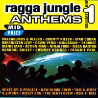 Under Mi Sensi (Jungle Spliff) X-Project Remix - Barrington Levy & Beenie Man