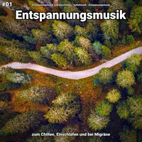 Entspannungsmusik zum Relaxen - Entspannungsmusik & Schlafmusik & Entspannungsmusik zum Einschlafen