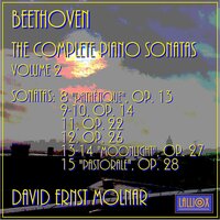 Piano Sonata No. 11 in B-Flat Major, Op. 22: I. "Allegro Con Brio" - David Ernst Molnar & Ludwig van Beethoven