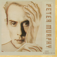 My Last Two Weeks - Peter Murphy