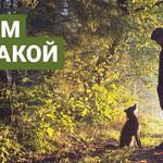 Гуляем с собакой