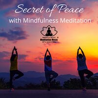 Hope in Your Heart - Mindfulness Meditation Music Spa Maestro