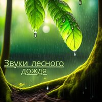 Песнь дикой природы - Мелодия в горе & Расслабленное подсознание