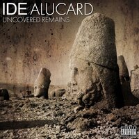 Disciple to Master - Ide & Alucard