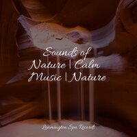 Music for Meditation - Relaxing Rain Sounds & Pink Noise & Deep Sleep Music Academy