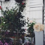 Вечные каникулы