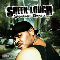 D-block/dipset - Sheek Louch & Styles P & Hell Rell & Jim Jones