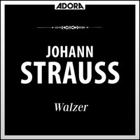 Seid umschlungen Millionen für Orchester - Stuttgarter Philharmoniker & Эдуард Штраус
