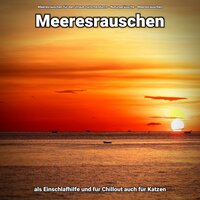 Tolle Echos - Meeresrauschen für den Urlaub zwischendurch & Naturgeräusche & Meeresrauschen