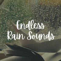 Eco-Warrior Rain - 24H Rain Sounds