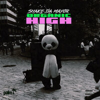 Separated - Shake Da Mayor & Dotty Diablo
