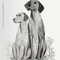 The Placid Pooch - Dog Calming Music