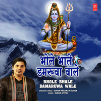 Bhole Bhale Damaruwa Wale - Surya Prakash Dubey & Amar  Utpal