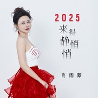 2025来得静悄悄 - 肖雨蒙