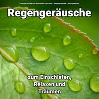 Warme Erkenntnisse - Regengeräusche zum Einschlafen Lars Honn & Regengeräusche & Naturgeräusche